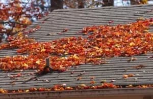 Roof condition check—spot granule loss, curling, or lifted tabs before they become leaks