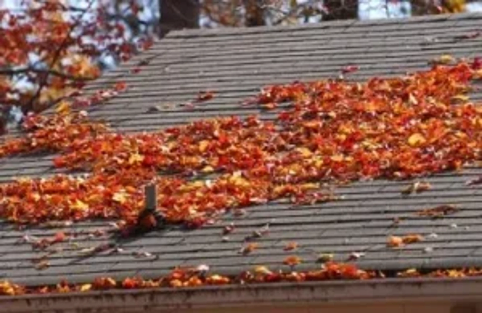 Storm Damage Experts in Provo roofing project image 1